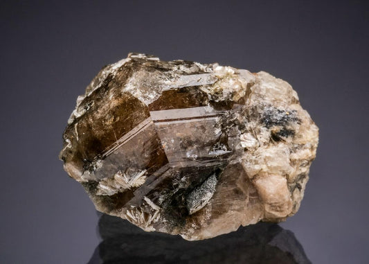 CC48112 specimen image