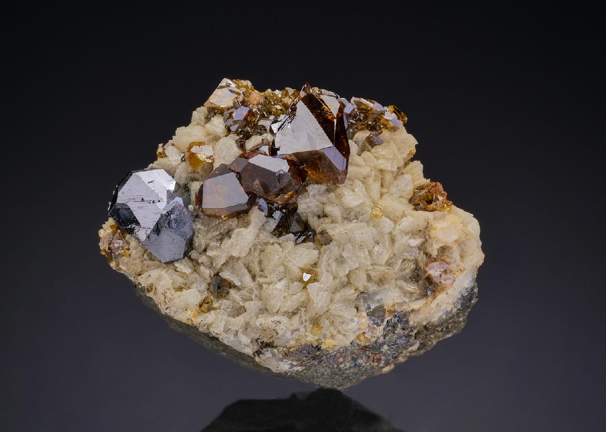 CC48140 specimen image