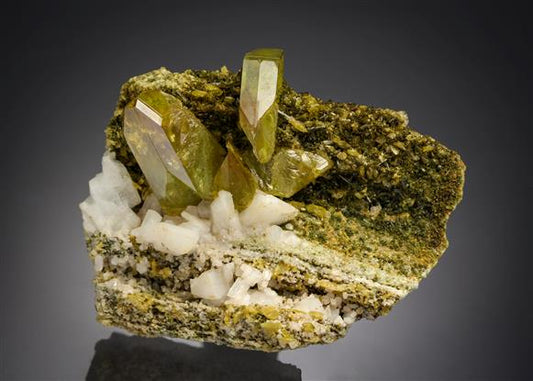 CC4821 specimen image
