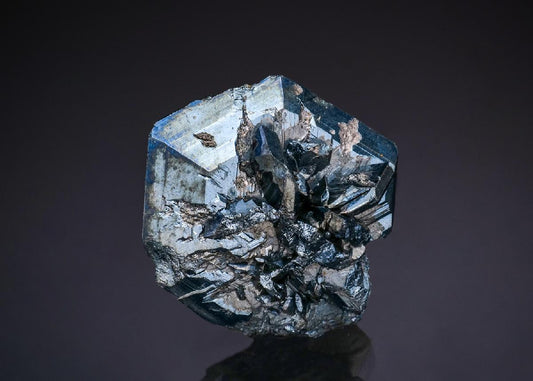 CC48242 specimen image
