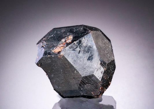 CC48250 specimen image
