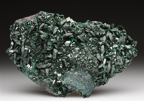 CC4826 specimen image