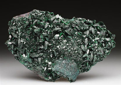 CC4826 specimen image