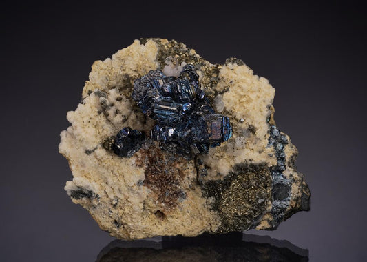 CC48304 specimen image