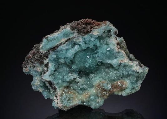 CC48314 specimen image
