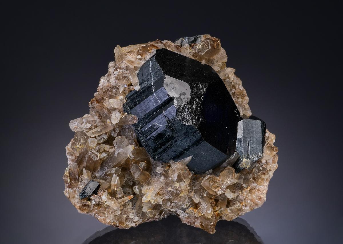 CC48328 specimen image