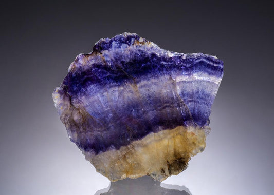CC48334 specimen image