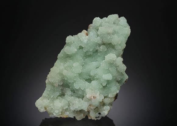 CC4838 specimen image