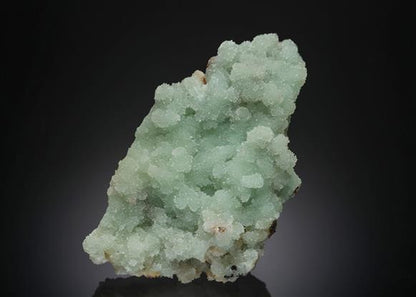 CC4838 specimen image