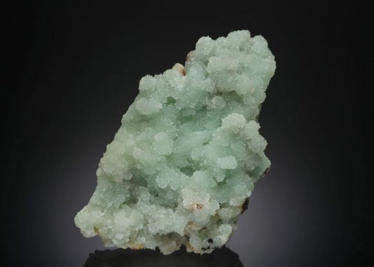 CC4838 specimen image