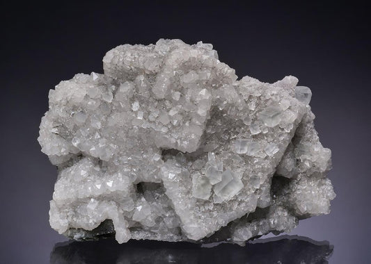 CC48390 specimen image