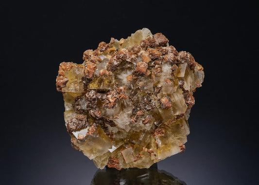 CC48410 specimen image
