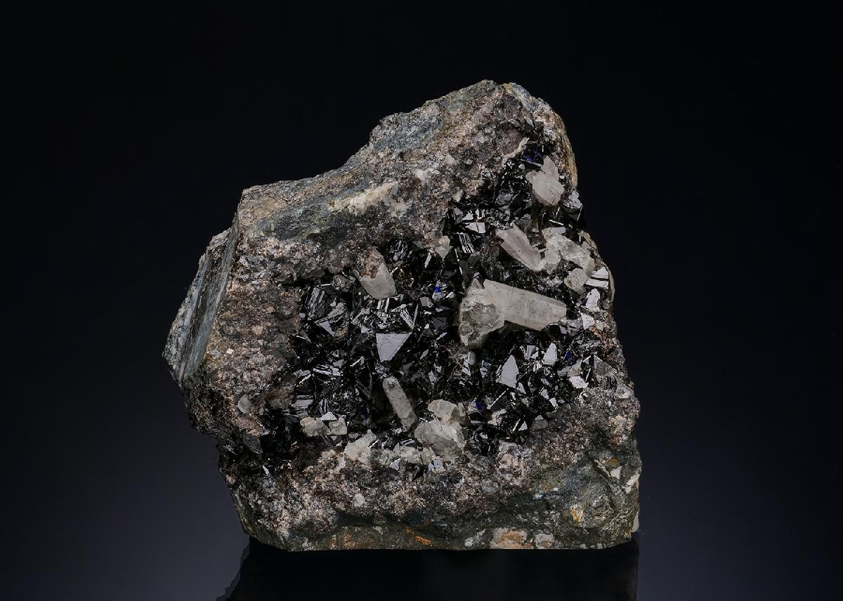 CC48412 specimen image