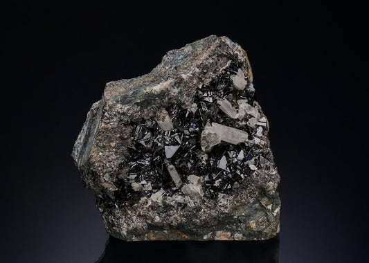 CC48412 specimen image