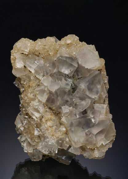 CC48414 specimen image