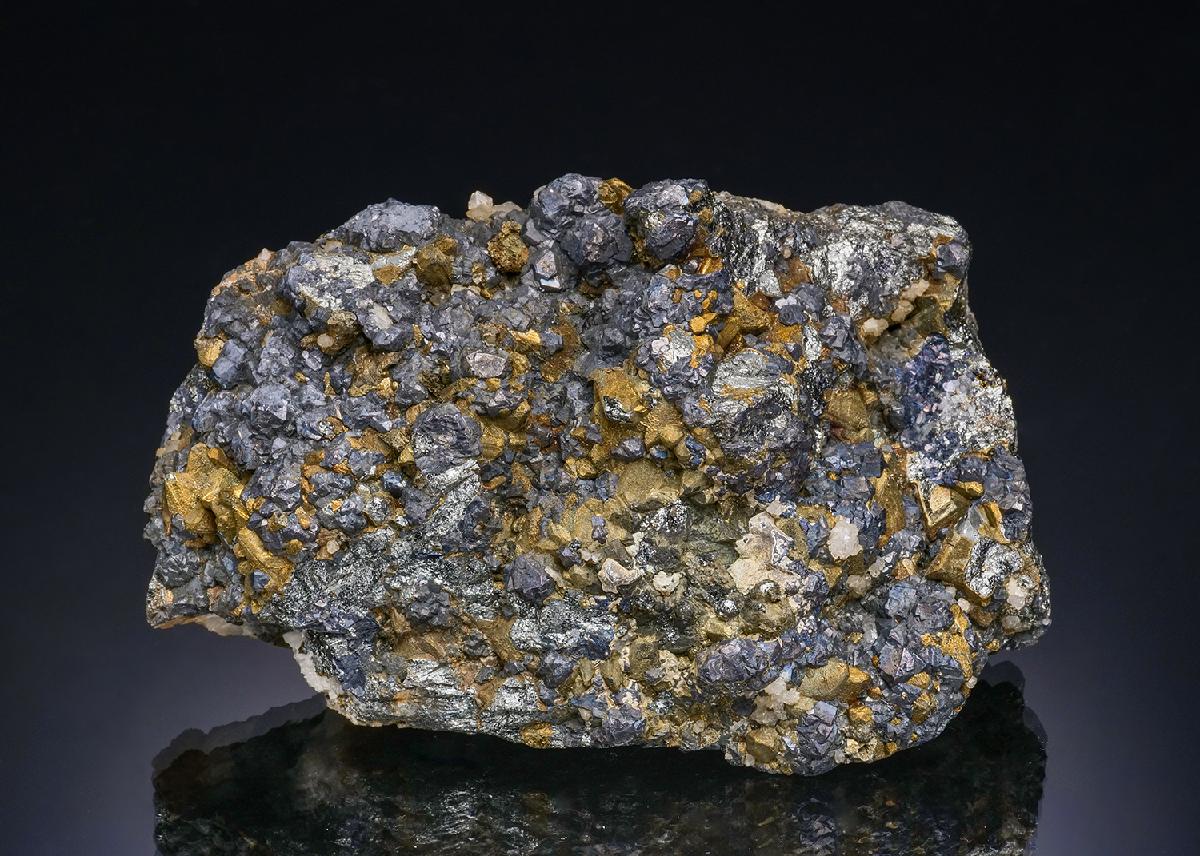 CC48430 specimen image
