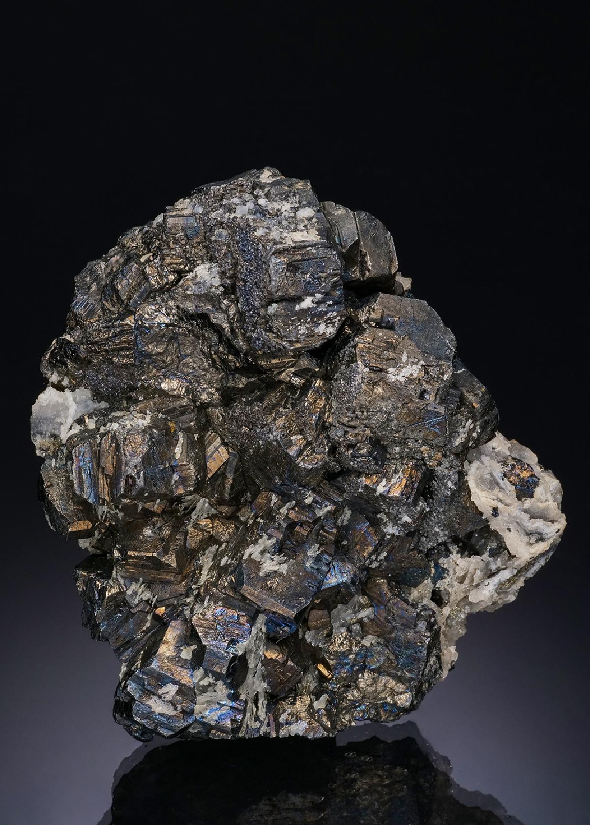 CC48432 specimen image