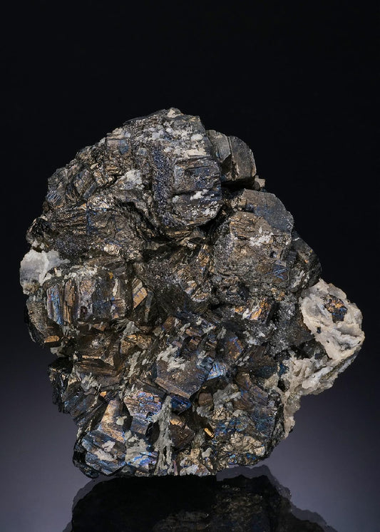 CC48432 specimen image