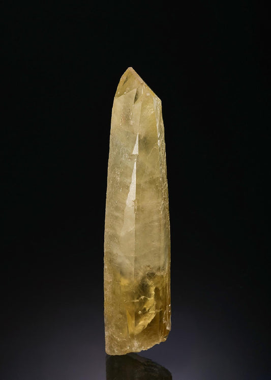 CC48450 specimen image