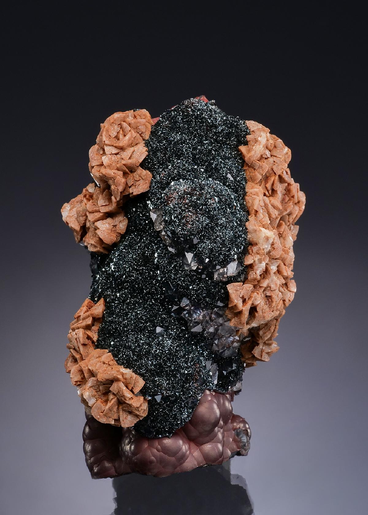 CC48466 specimen image