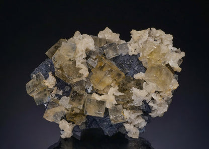 CC48476 specimen image