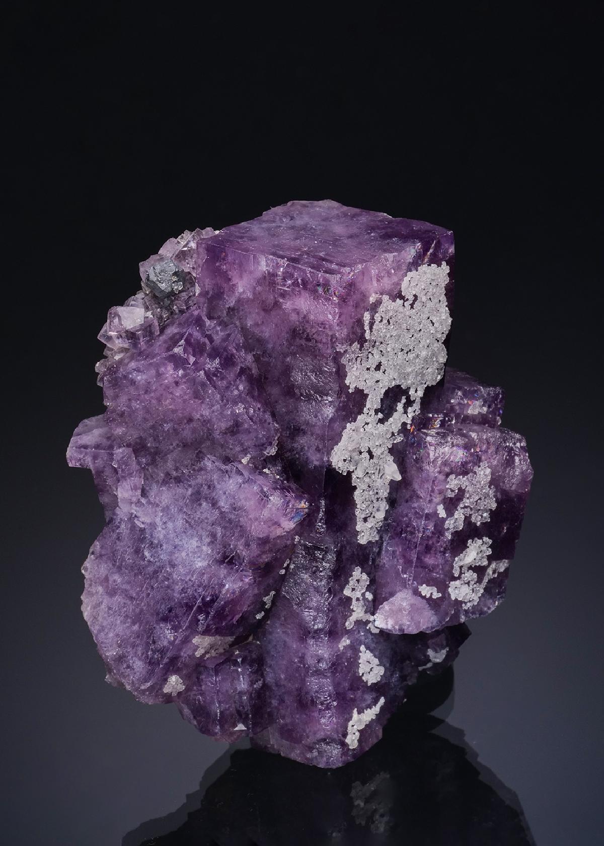 CC48498 specimen image