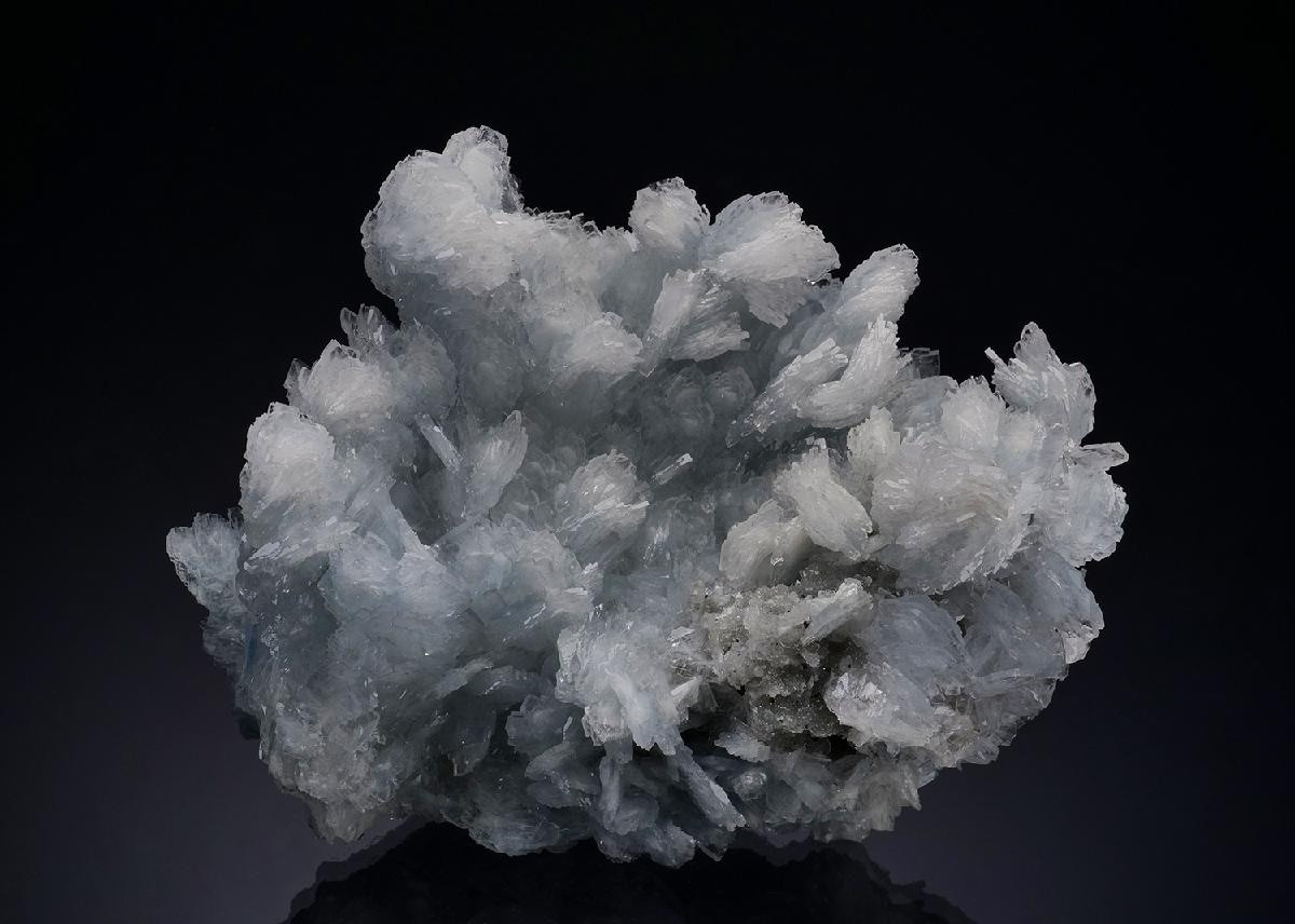 CC48704 specimen image