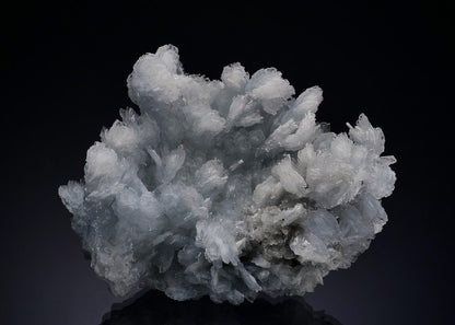 CC48704 specimen image