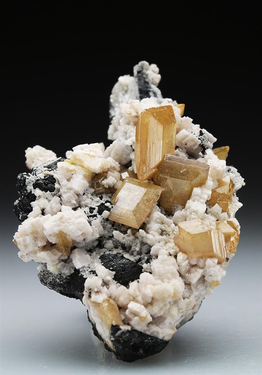 CC4877 specimen image