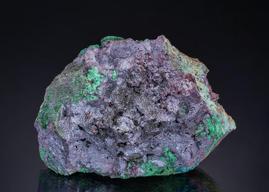 CC48898 specimen image