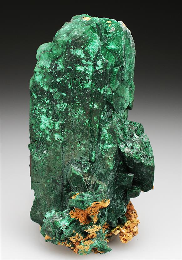 CC4892 specimen image