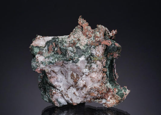 CC48926 specimen image