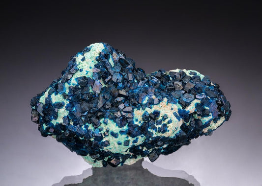 CC48954 specimen image