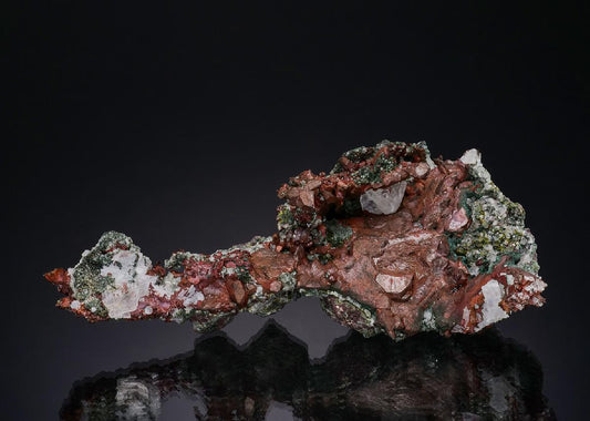 CC48972 specimen image