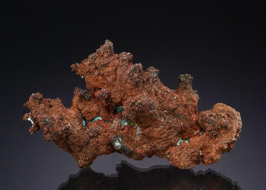 CC48976 specimen image