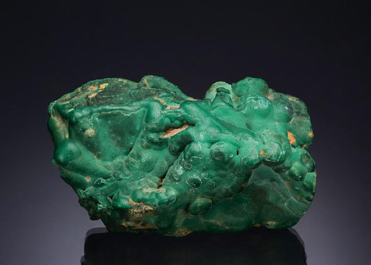 CC48980 specimen image
