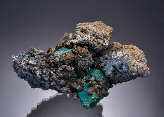 CC48994 specimen image