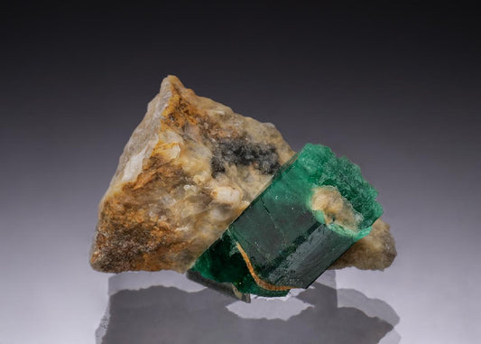 CC49012 specimen image