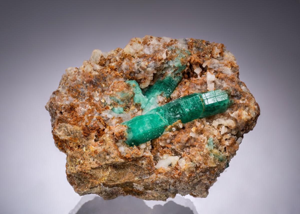 CC49018 specimen image