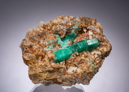 CC49018 specimen image