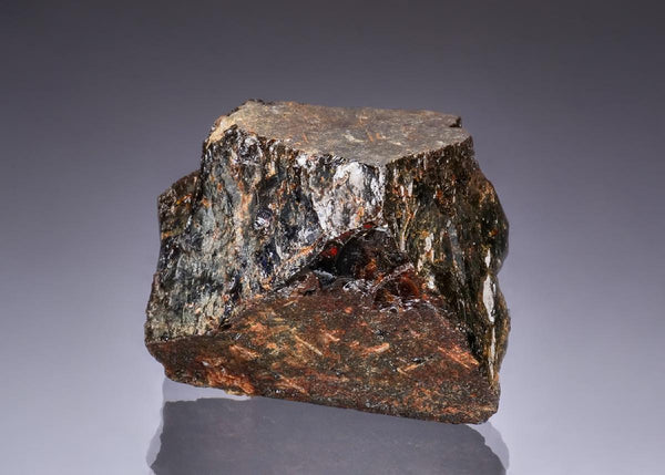 CC49070 specimen image