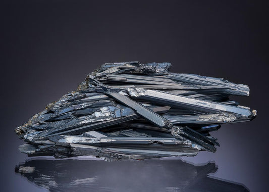 CC49078 specimen image