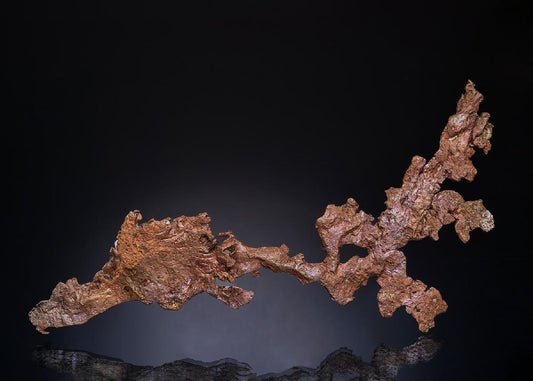 CC49084 specimen image