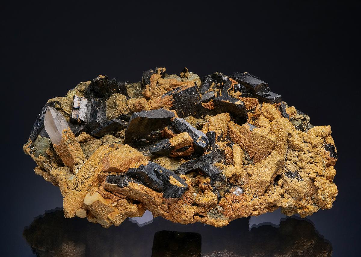 CC49086 specimen image