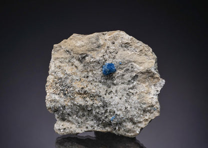 CC49120 specimen image