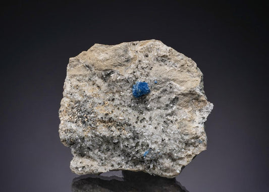 CC49120 specimen image