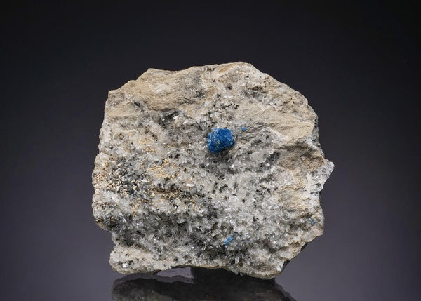 CC49120 specimen image