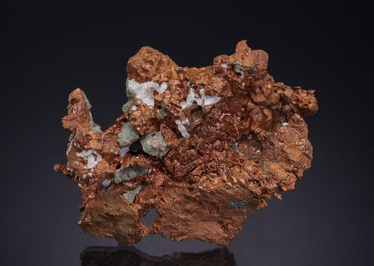 CC49124 specimen image