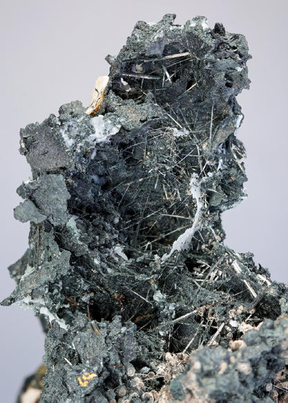 CC4915 specimen image