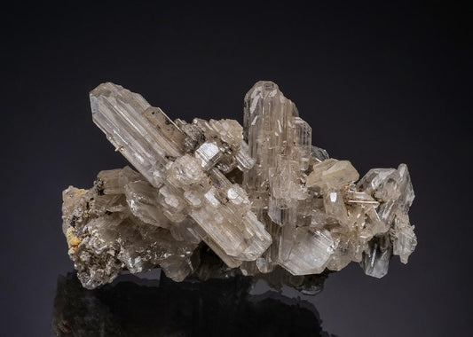 CC49166 specimen image